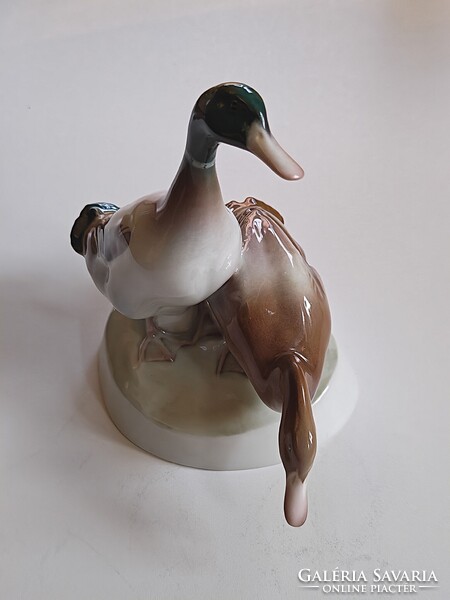 Nagy méretű Zsolnay Pécs porcelán vadkacsa pár – 18 cm