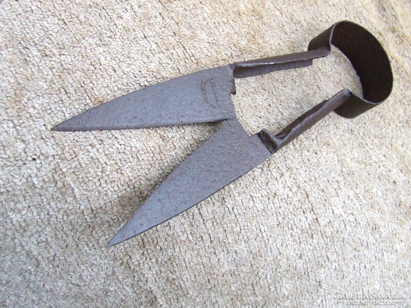 Régi kovácsolt szerszám birkanyíró olló