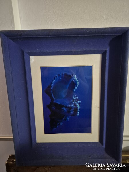 Nyomat plüss kerettel