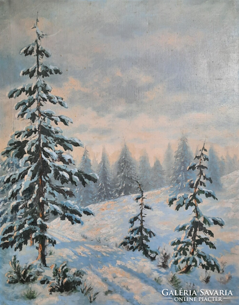 Téli fák (olaj, vászon, 62x50 cm) napsütötte havas táj fenyőfákkal