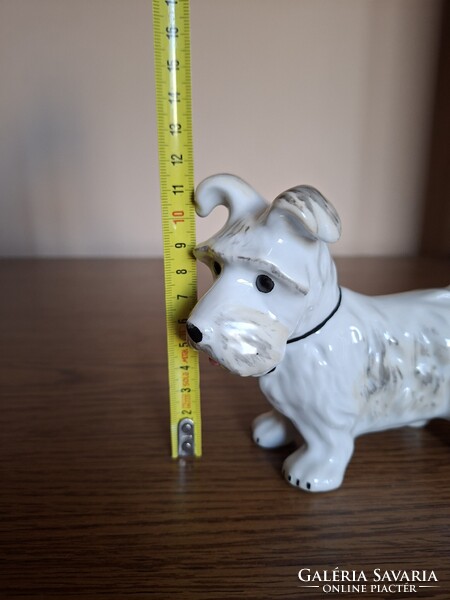 Alba Julia porcelán terrier kutya. Hibátlan. Jelzett