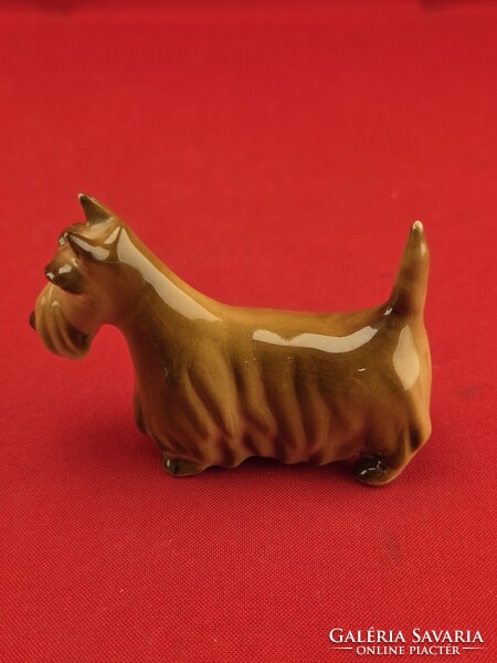 Zsolnay skót terrier