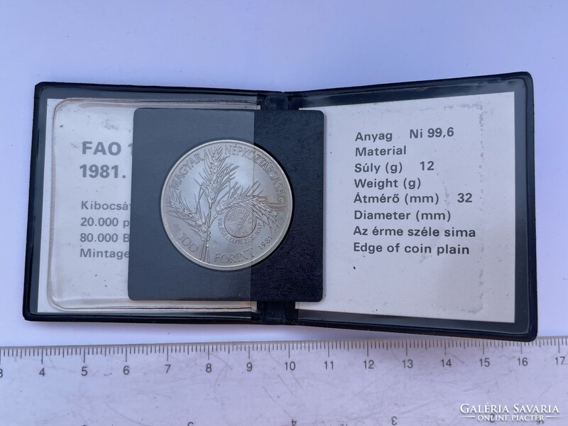 -AX231- Régi 100 Forintos FAO Emlékérem ENSZ 1981.