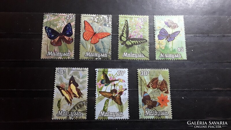 Malaysia- Lepkék.