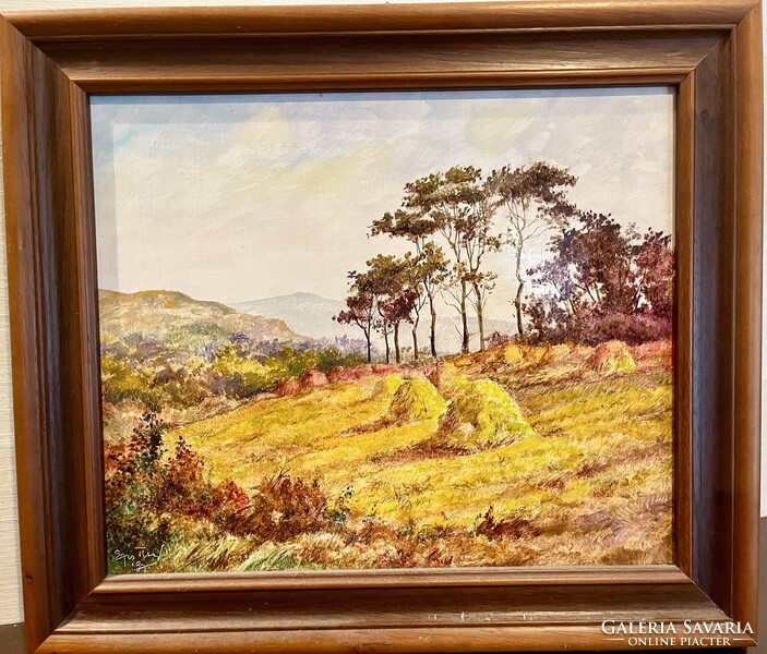 Egri Tibor: Nyári hegyoldal – Eredeti tájkép, keretben (43cmx38cm)