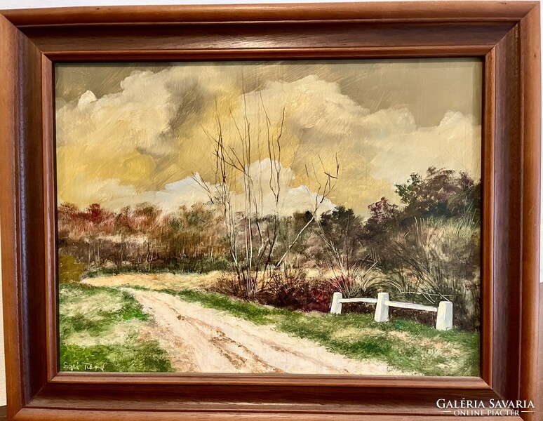 Egri Tibor: Tavaszi táj (Eredeti olajfestmény, keretben (46cmx36cm)