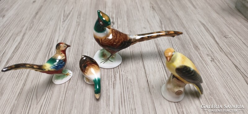 Bodrogkeresztúri madarak aukció! Fácánok, vadkacsa, sárgarigó