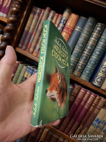 FEKETE ISTVÁN POSTHUMUS ELSŐ KIADÁS!  1987 papirboritós  VADÁSZATOK ERDÓN,MEZŐN-MEZŐGAZDASÁGI K.-