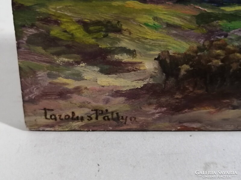 PÁLLYA CAROLUS /1875-1948/ - BIRKÁKAT TERELŐ JUHÁSZ