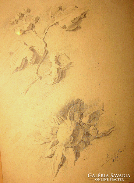 1889-es GARANTÁLTAN EREDETI EDVI-ILLÉS ALADÁR / 1870-1958/  : VIRÁGOK