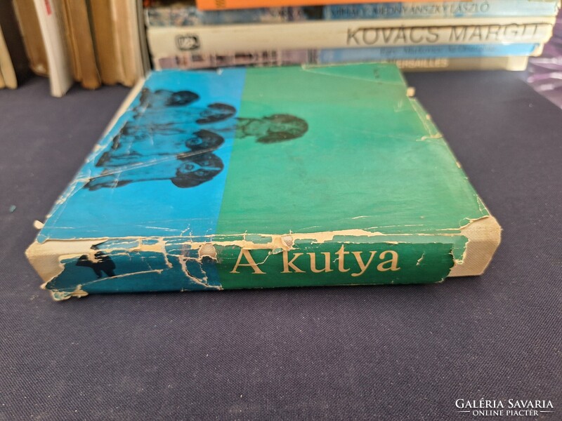 A kutya tenyésztése, tartása, kiképzése. 1550.-Ft
