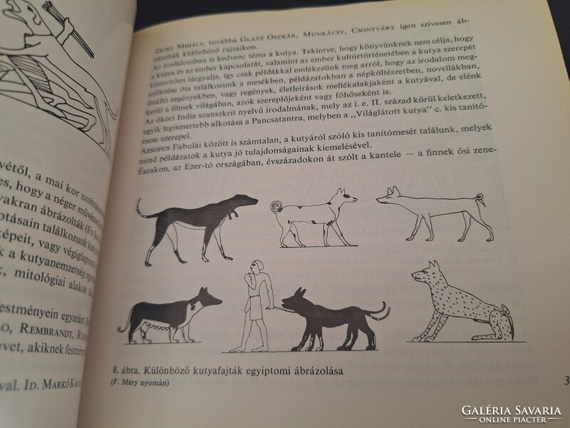 A kutya tenyésztése, tartása, kiképzése. 1550.-Ft