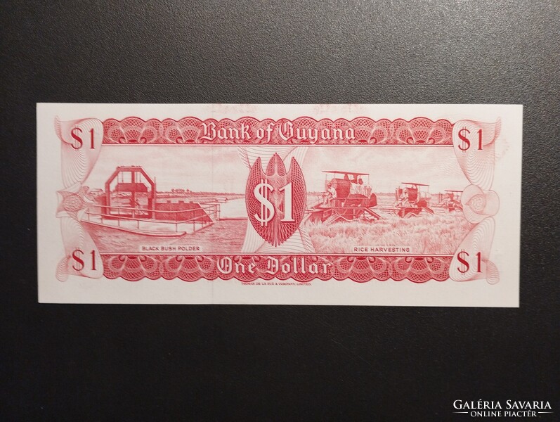 Guyana - 1 Dollár 1989 UNC