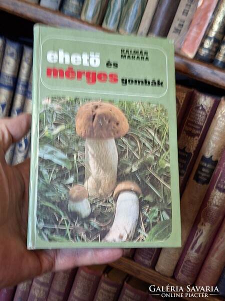 Gomba!!! 1978-NATURA BP.- KALMÁR / MAKARA : EHETŐ ÉS MÉRGES GOMBÁK