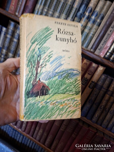 1973  poszthumusz -FEKETE ISTVÁN első kiadás: RÓZSAKUNYHÓ -elbeszélések és karcolatok