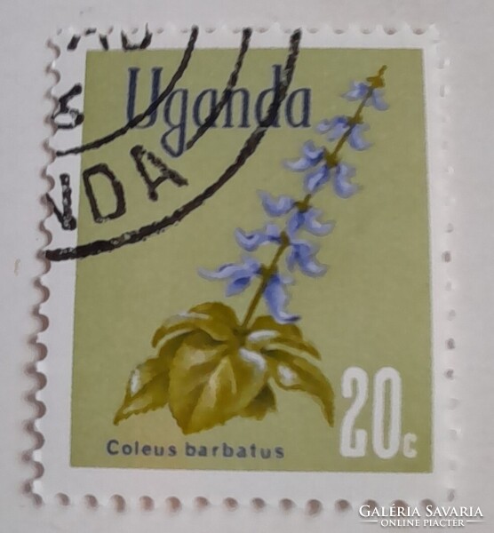 1969 Virágok