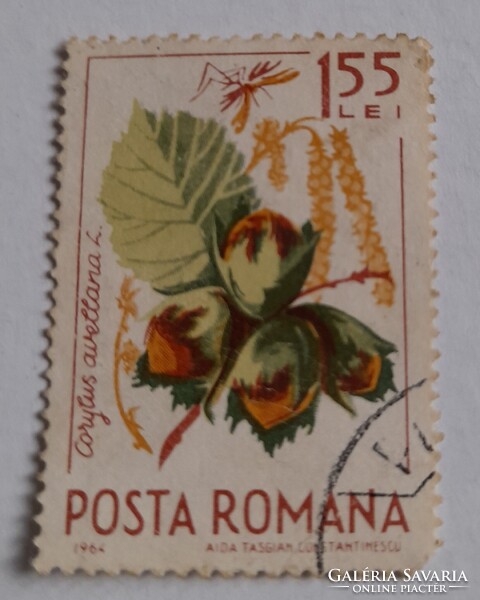 1964 Erdei gyümölcsök