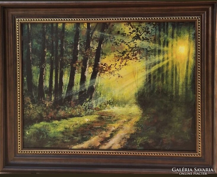 Károlyi Katalin-"Nyugalom"30×40-es olajfestmény vásznon, keretezett méret:42x52