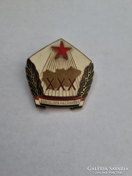 Socialist Homeland Badge, Pin