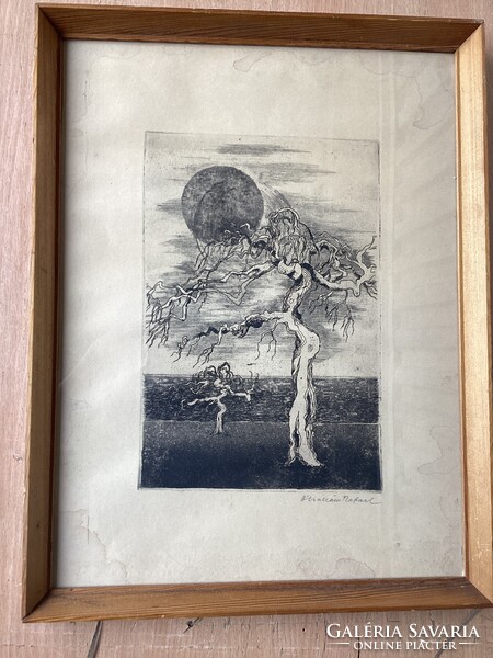 Ábrahám Raphael - etching of dried trees in a glazed garden.