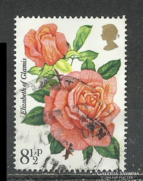 Angol 8 1/2 p