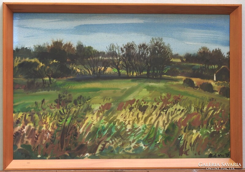 (K) Bóka Dezső (1935-) : Nyár / Hegyoldal