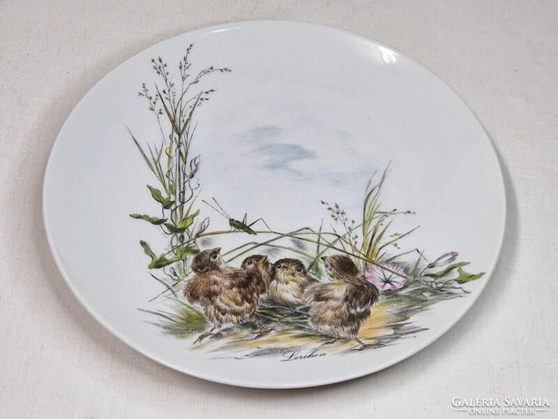 Ritka Hutschenreuther madárfiókákat ábrázoló porcelán tányér vagy falidísz hibátlan 20 cm.