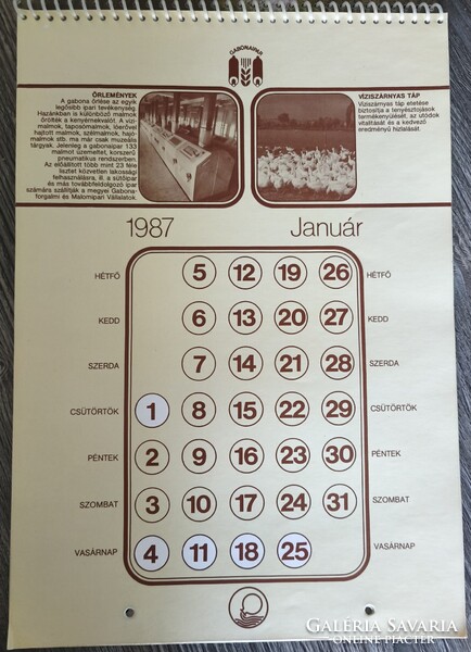 Naptár,Gabonaforgalmi és Malomipari Vállalat 1987-es fali naptára, modellfotó