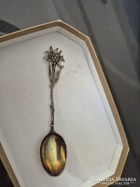 Silver Spoon
