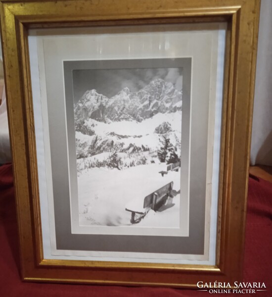 Winter Photograph in beautiful wooden frame 22 cm x 34 cm